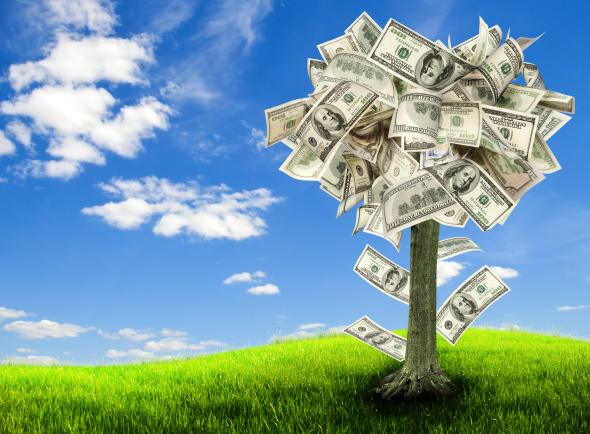 Money tree growing in the middle of green meadow
