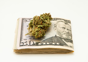 Marijuana and Dollar notes