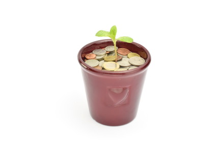 Small potted plant fertilized with coins