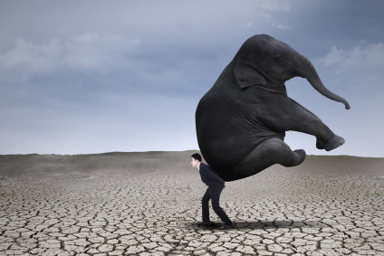Businessman lifting big elephant on dry ground - leadership concept