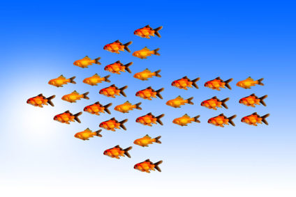 Goldfish forming an arrow