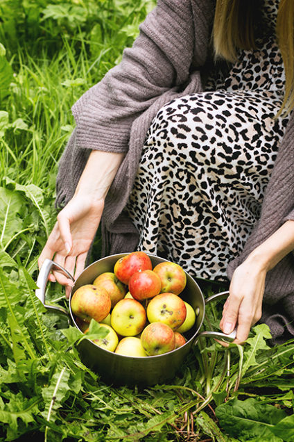 Pan of apples in woman's hands over green grass