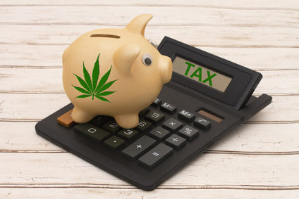 Piggy bank with marijuana leaf painted on it, atop a calculator