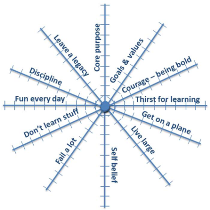 12-trait "spider wheel" diagram