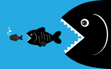 Large fish eating medium fish eating small fish