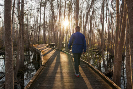 Man walking boardwalk forest trail in early morning