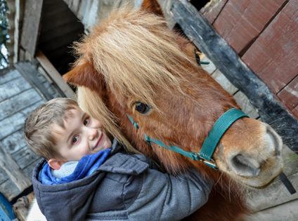 Boy hugging pony