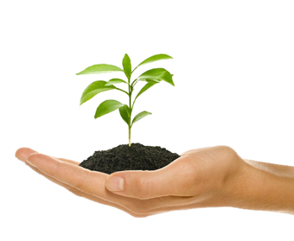 Hand holding a pile of dirt with a plant growing from it